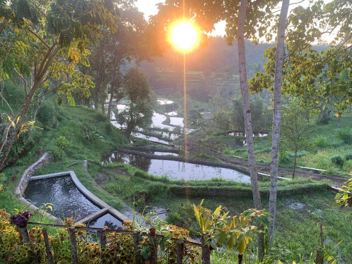 The Alam Tetebatu Bungalow & Restaurant エクステリア 写真