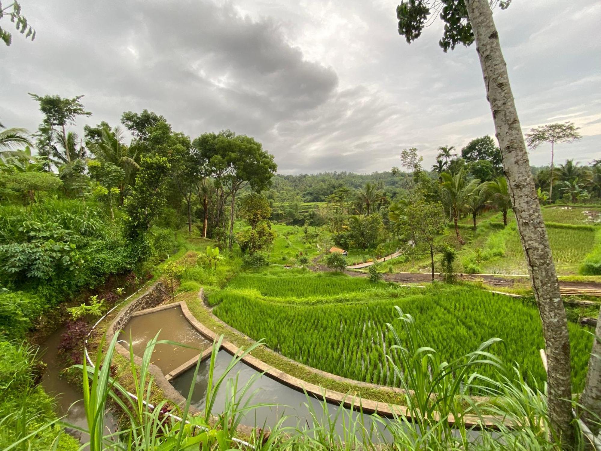 The Alam Tetebatu Bungalow & Restaurant エクステリア 写真