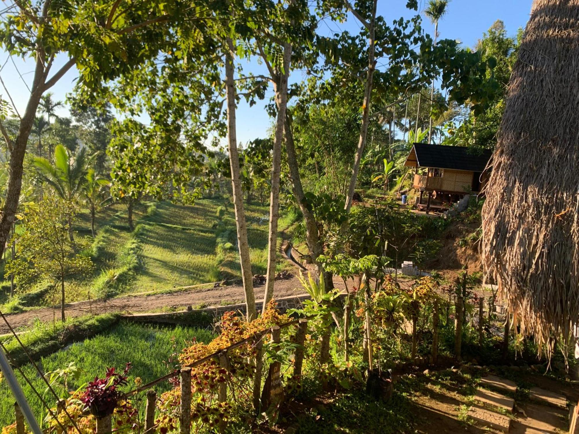 The Alam Tetebatu Bungalow & Restaurant エクステリア 写真