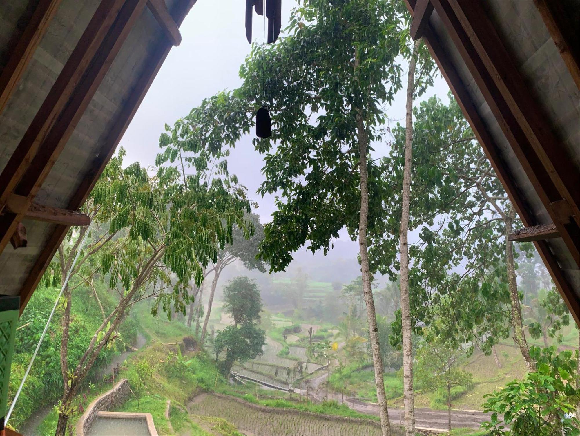 The Alam Tetebatu Bungalow & Restaurant エクステリア 写真