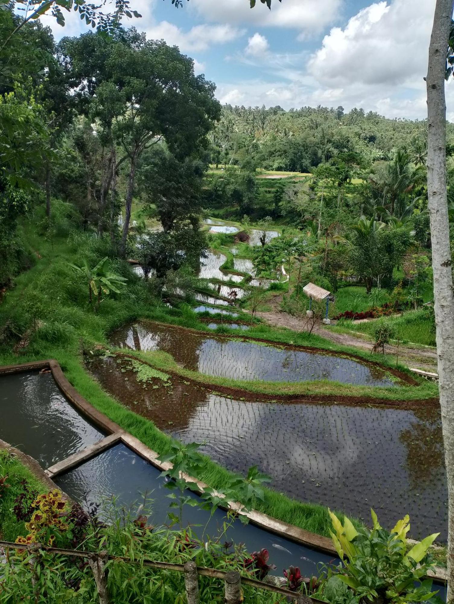 The Alam Tetebatu Bungalow & Restaurant エクステリア 写真