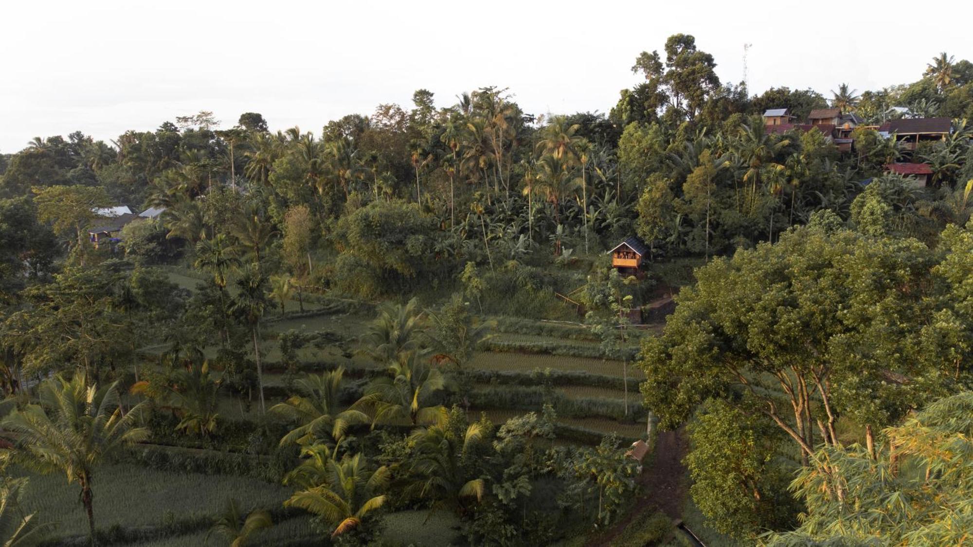 The Alam Tetebatu Bungalow & Restaurant エクステリア 写真