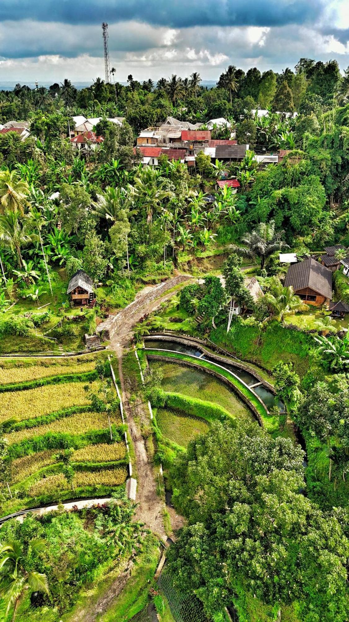The Alam Tetebatu Bungalow & Restaurant エクステリア 写真