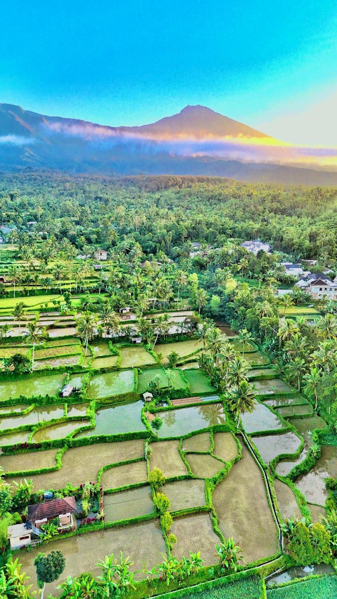 The Alam Tetebatu Bungalow & Restaurant エクステリア 写真