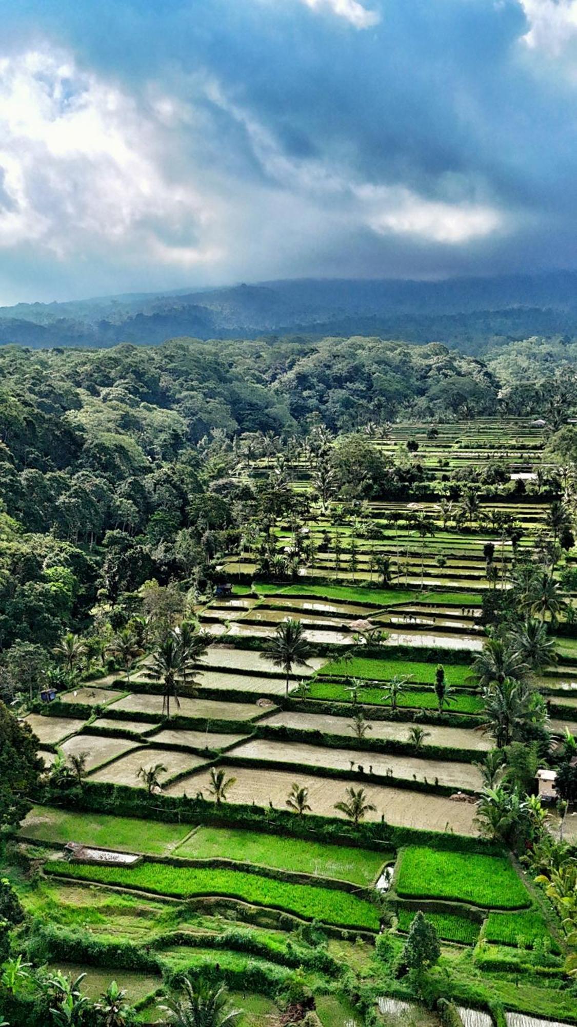 The Alam Tetebatu Bungalow & Restaurant エクステリア 写真