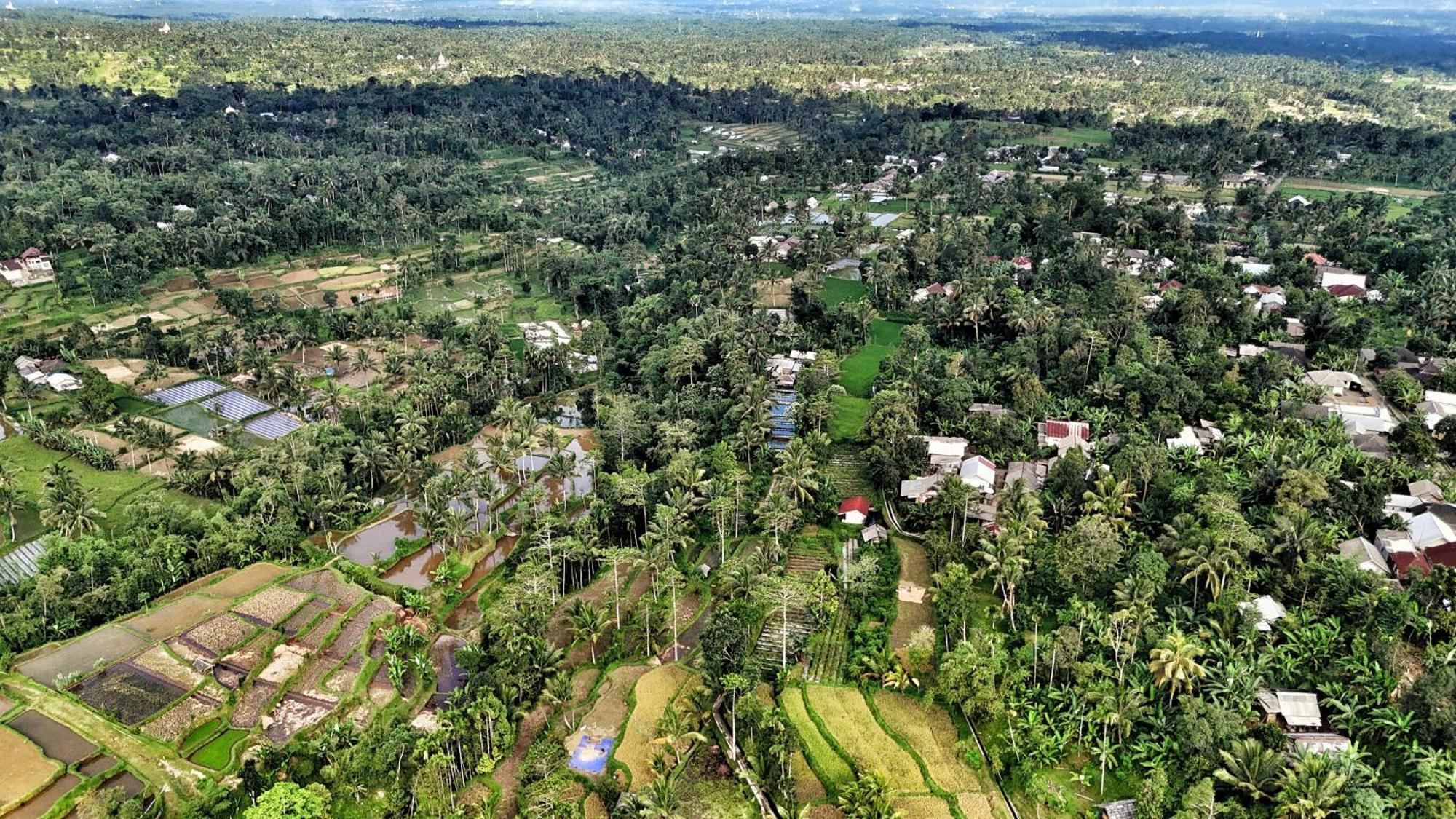The Alam Tetebatu Bungalow & Restaurant エクステリア 写真