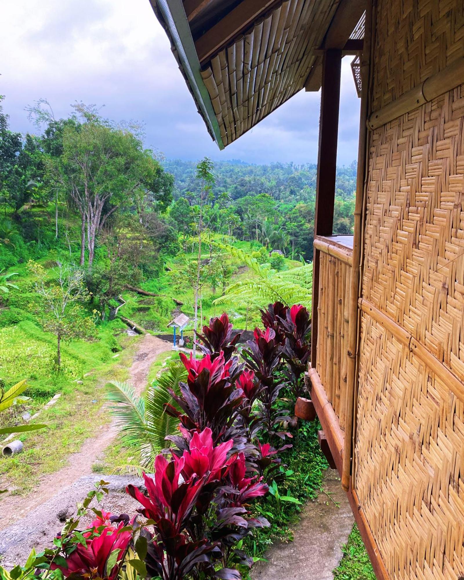 The Alam Tetebatu Bungalow & Restaurant エクステリア 写真