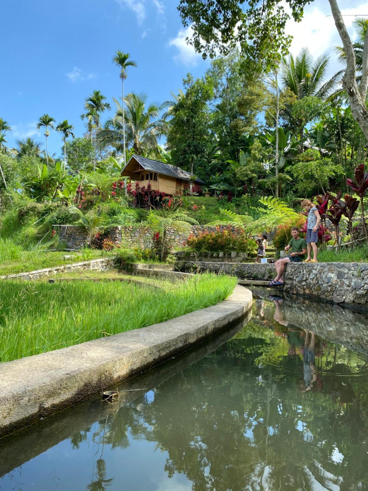 The Alam Tetebatu Bungalow & Restaurant エクステリア 写真
